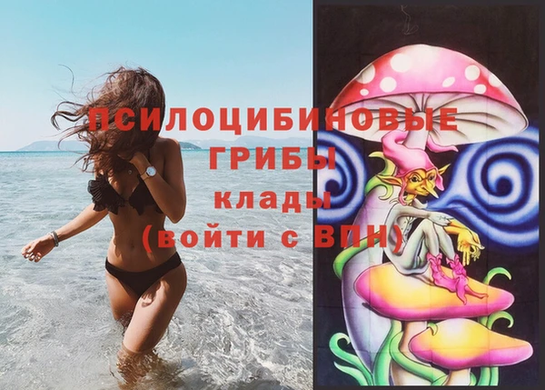 COCAINE Богородицк