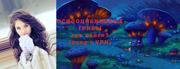 Альфа ПВП Богородск